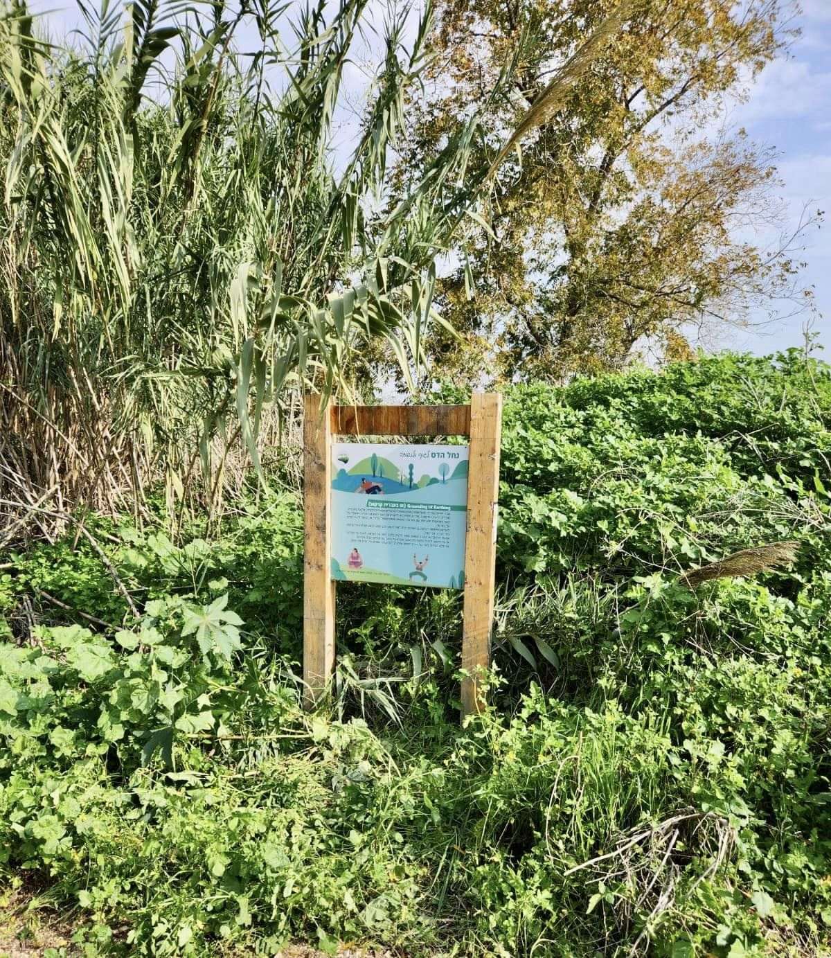 מנגישים את נחל הדס