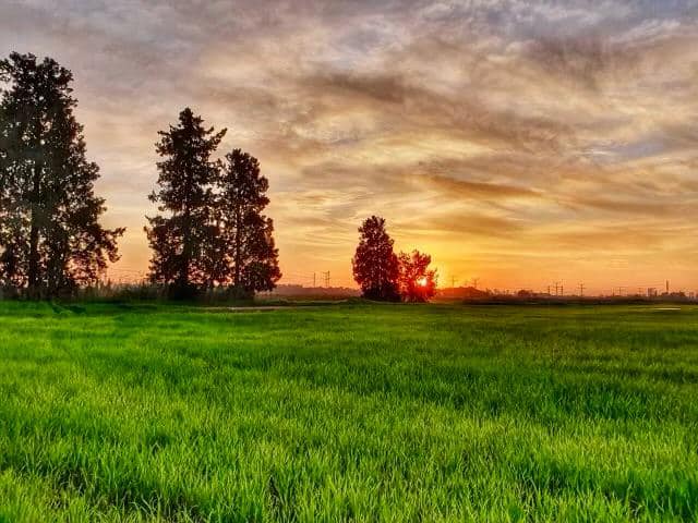 תמונת שקיעת השמש בדרום השרון