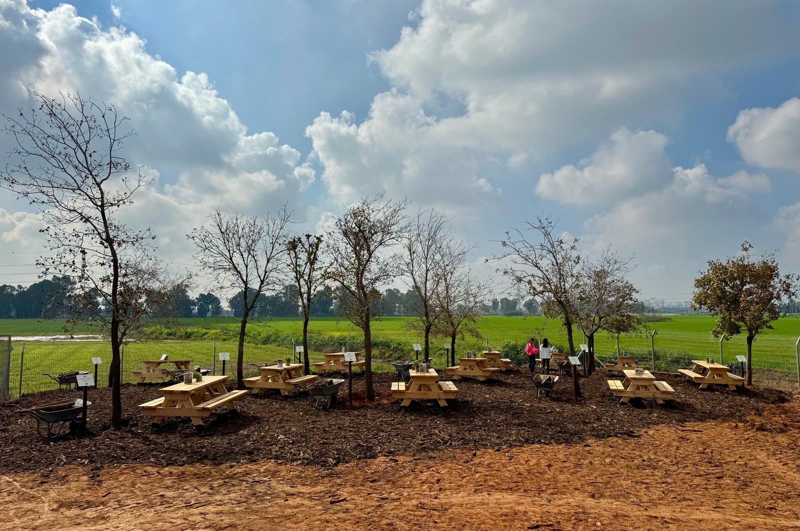 תמונה של החורשה להנצחת חללי המועצה ממלחמה חרבות ברזל