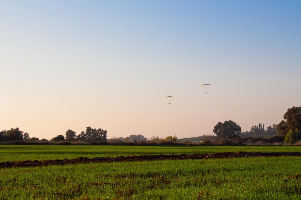 תמונת נוף מדרום השרון