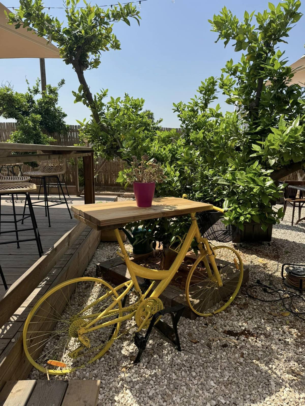 תמונות של עגלת הקפה באלישמע