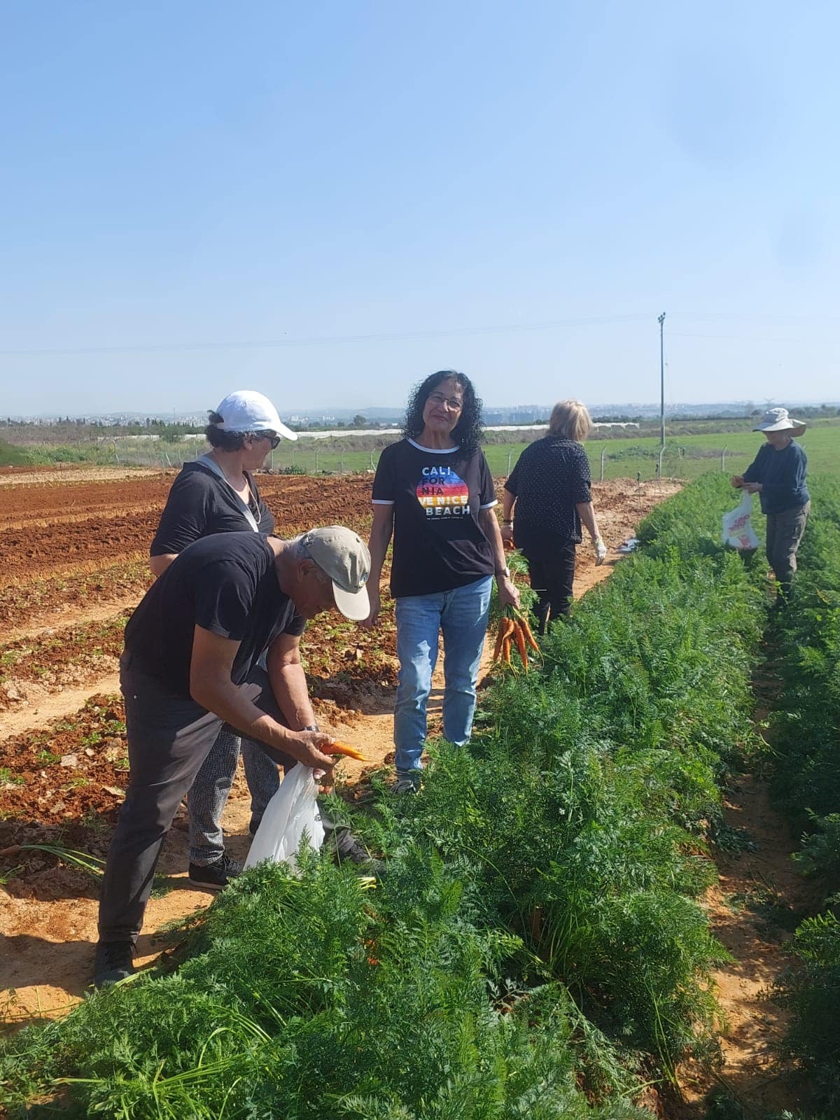 תמונות של חברים וחברות מכיתת הותיקים בבית חינוך ירקון אשר נפגשו מדי שבוע בחווה