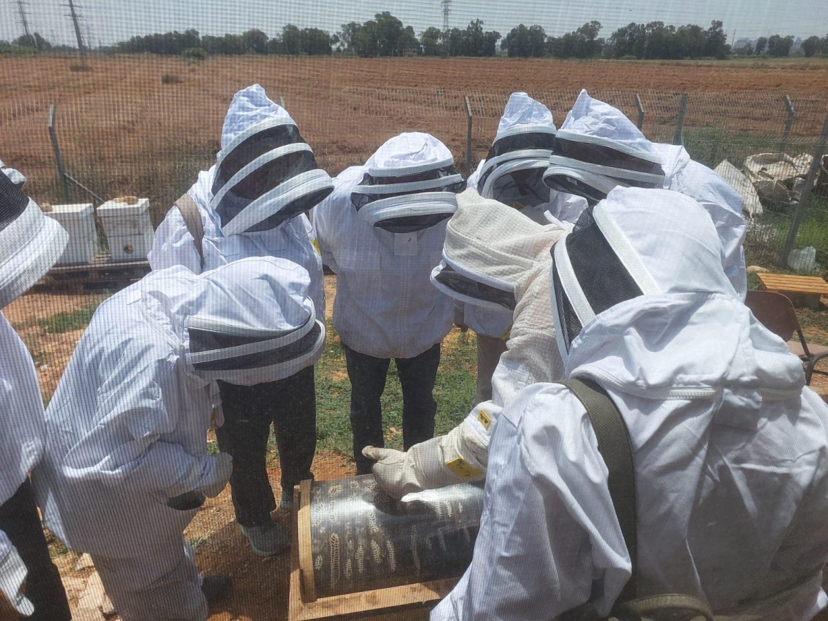 תמונות של חברים וחברות מכיתת הותיקים בבית חינוך ירקון אשר נפגשו מדי שבוע בחווה