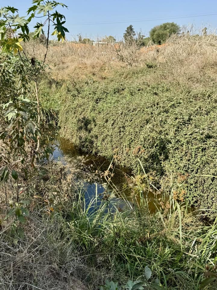 תמונות מנחל הדס
