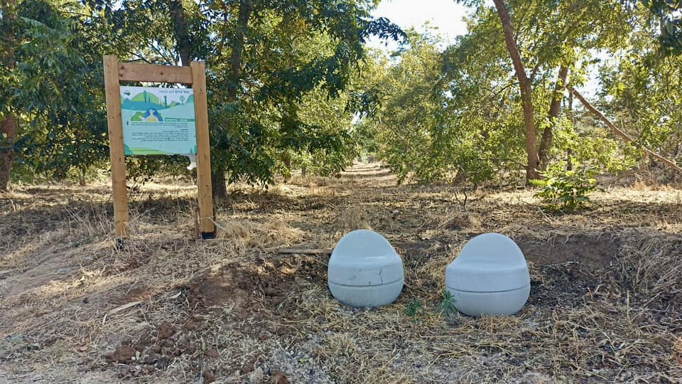 תמונות מנחל הדס