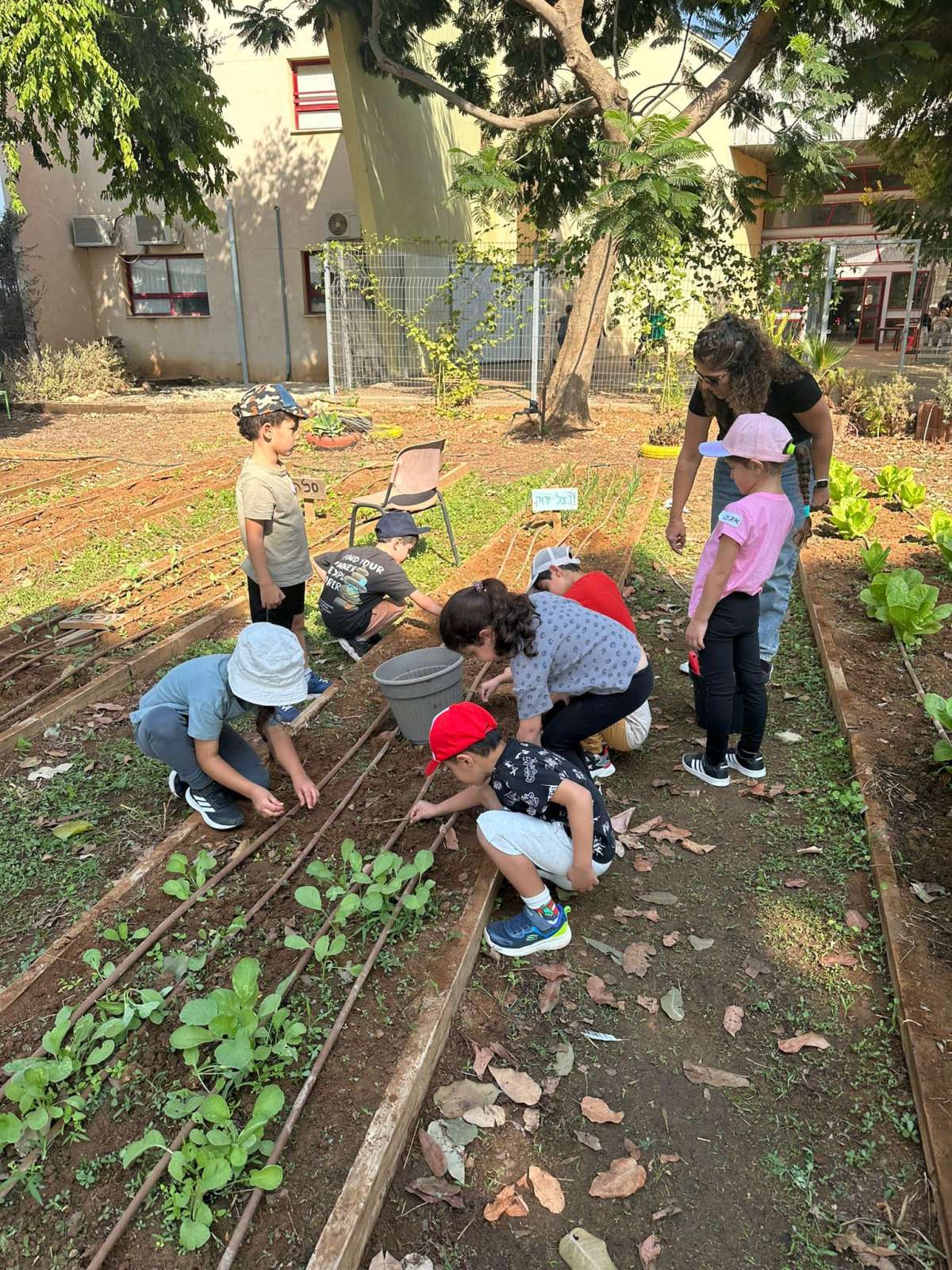 ילדי הגיל הרך בחווה החקלאית