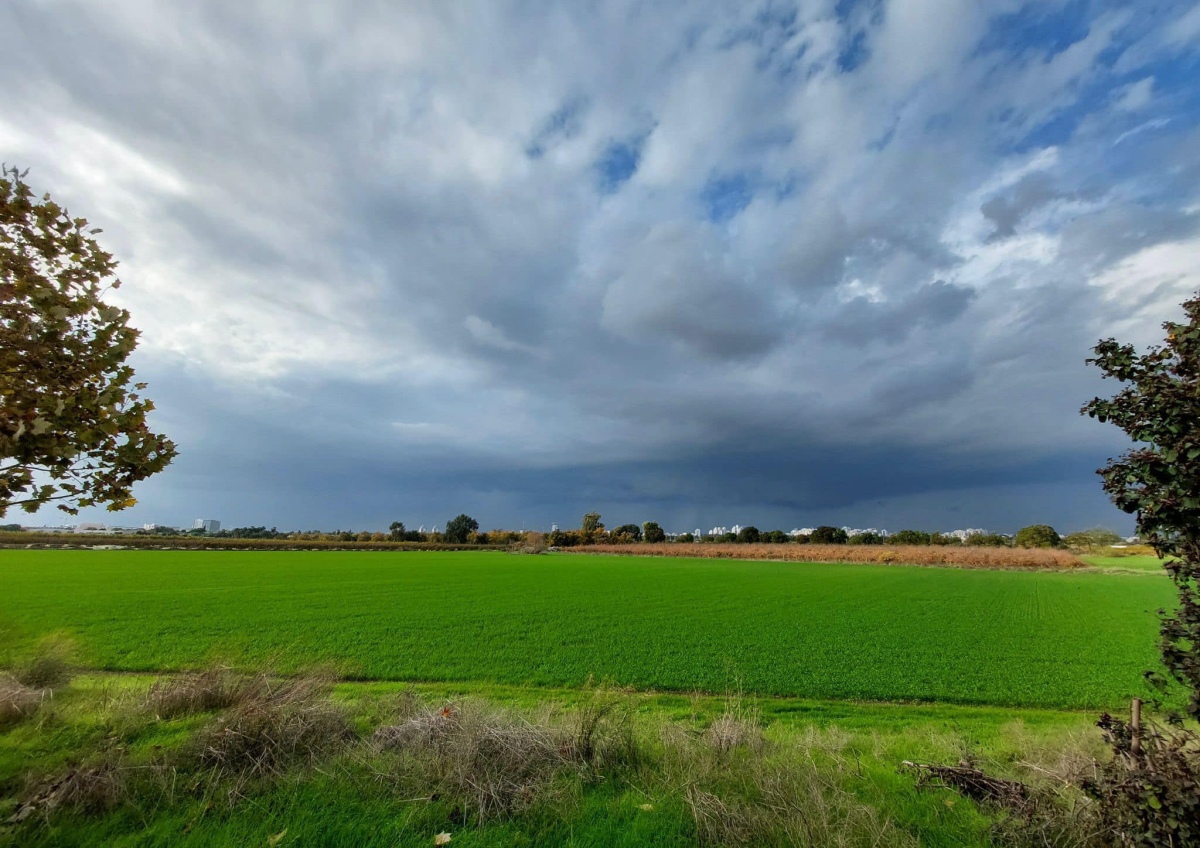 בתמונה: ''לקראת סערה''  צילמה - מלכה שיין, נוה ירק.ש