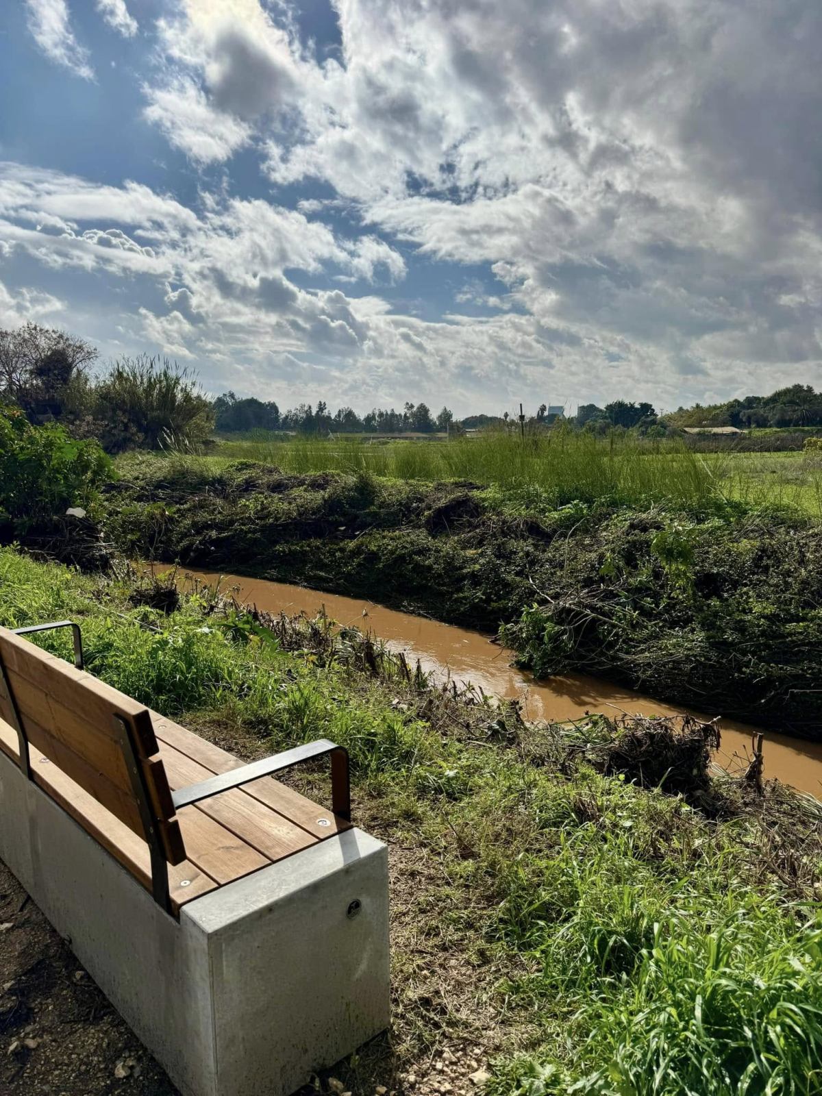 השרון ירוק ושוצף