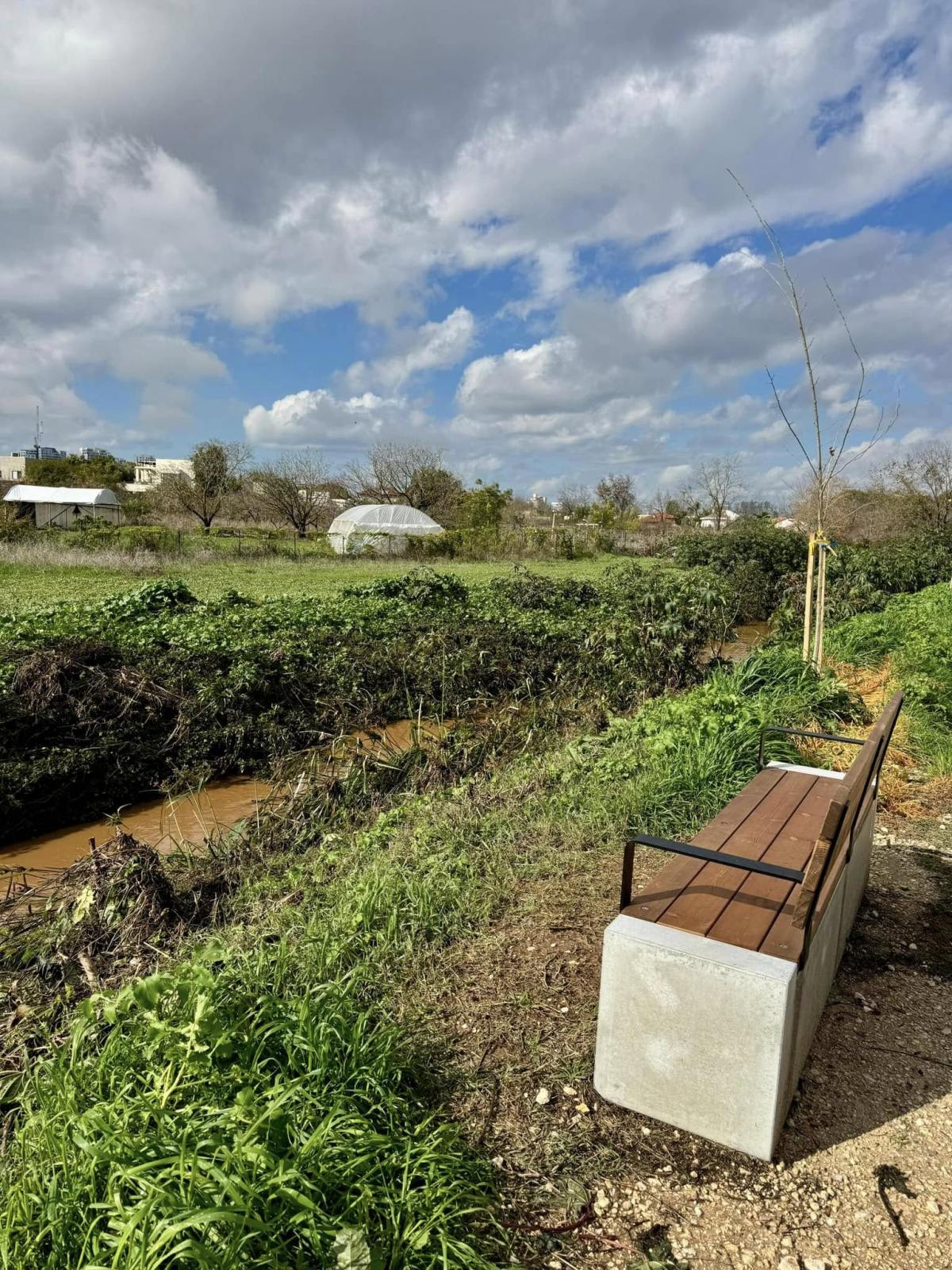 השרון ירוק ושוצף