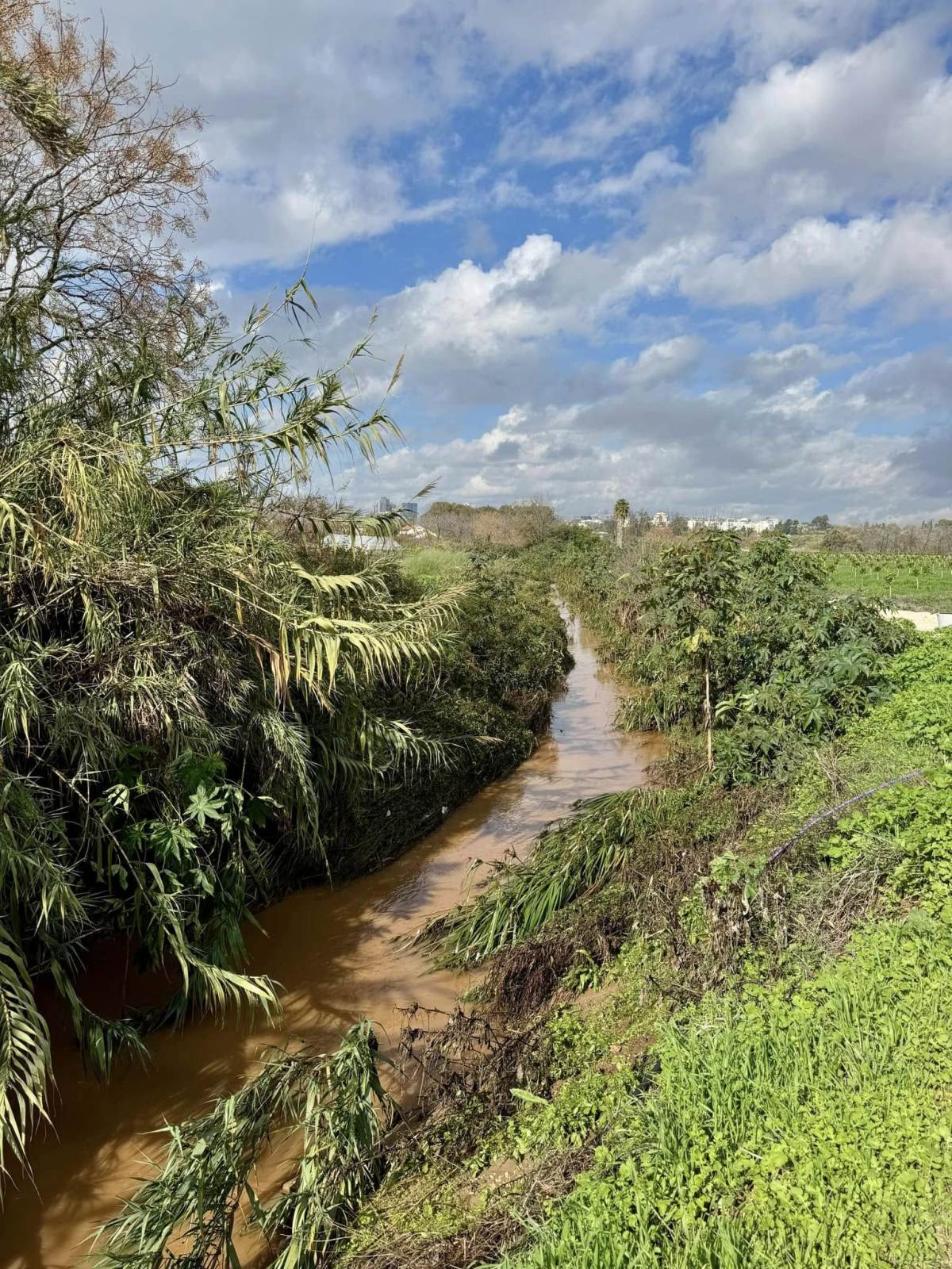 השרון ירוק ושוצף