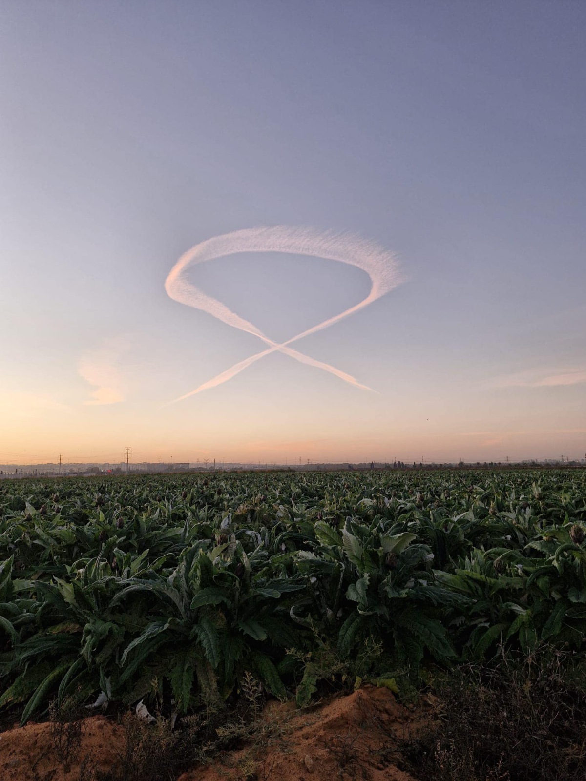 השמיים הבוקר מעל שדות נווה ירק