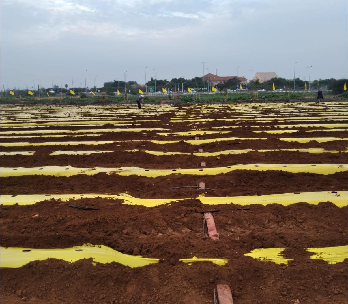 תמונות שדה במושב עדנים