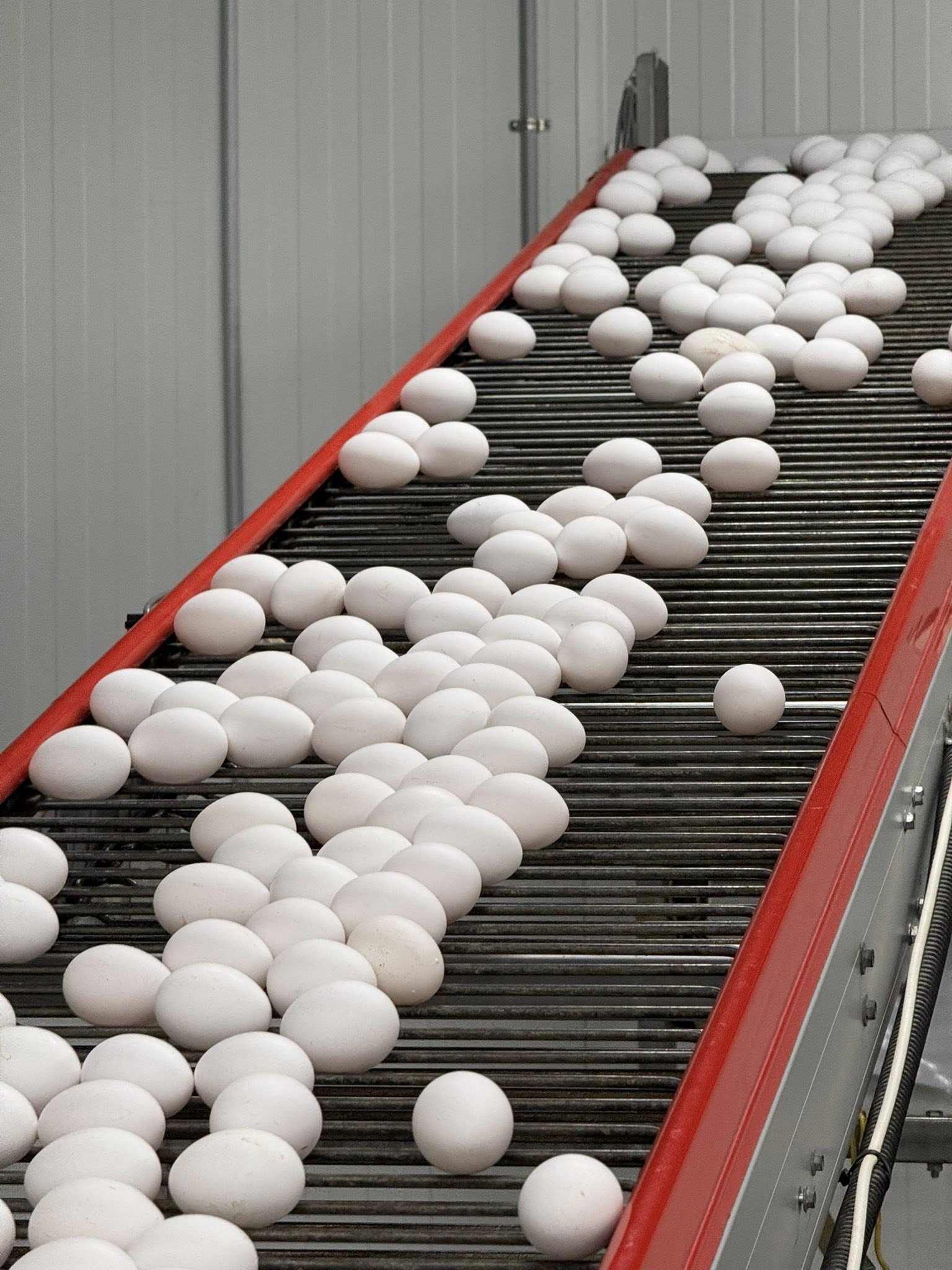 תמונות מביקור שר החקלאות בדרום השרון