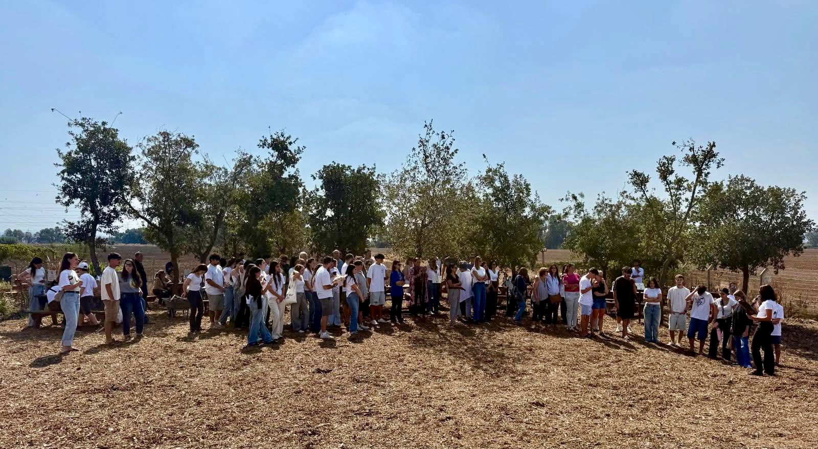 חורשת האלונים לזכר הנופלים