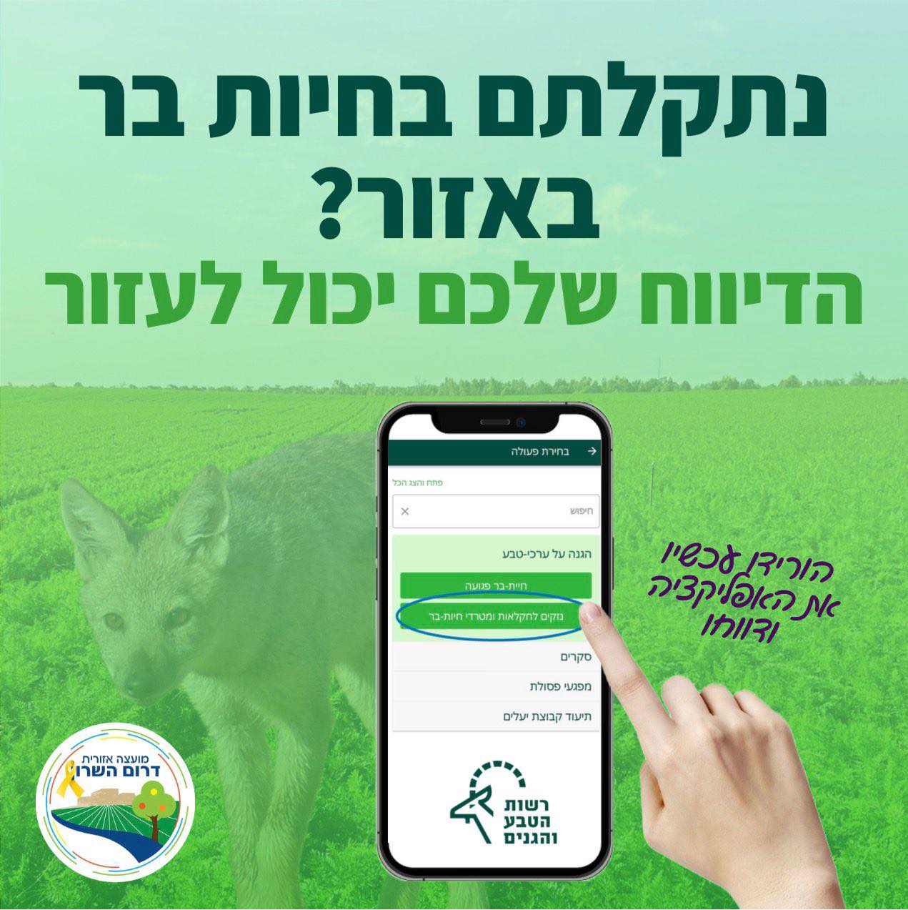 מודעה גרפית - נתקלתם.ן בחיות בר?