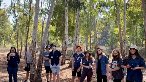 מנקים את יער חורשים (2).jpg