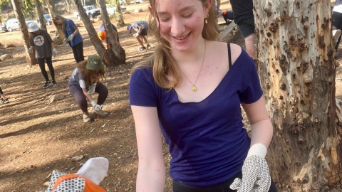 מנקים את יער חורשים (9).jpg