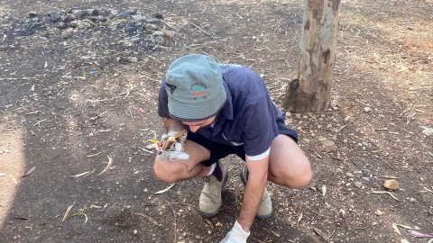 מנקים את יער חורשים (8).jpg