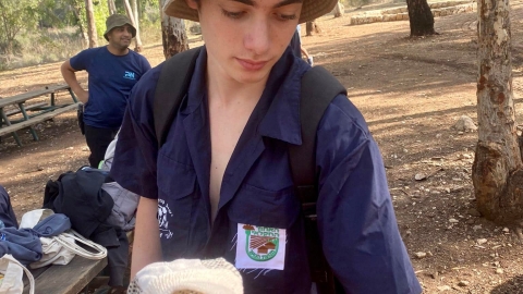 מנקים את יער חורשים (1).jpg