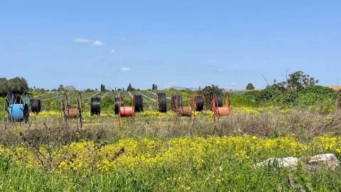 פריחה בדרום השרון (3).jpg