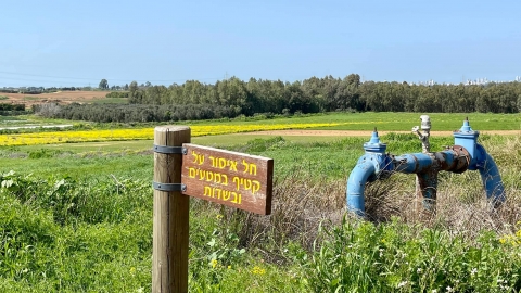 פריחה בדרום השרון (4).jpg