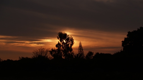 שקיעה חורפית צילום אבישי זן בר.jpg