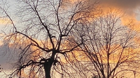 צילום ענבל הורביץ2.jpg