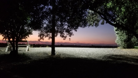 צילום גלית גלעדי.jpg