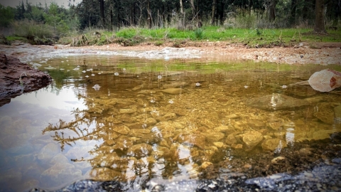 צילום שרון טהר לב.jpg