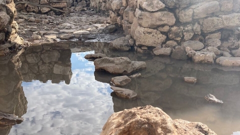 צילום רוני סגל.jpg