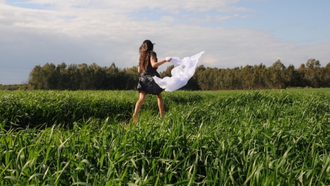 צילום ירון שדה.jpg