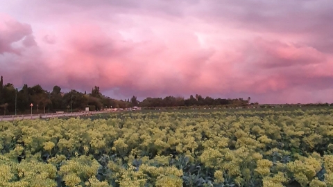 צילום ניר בלומנפלד.jpg