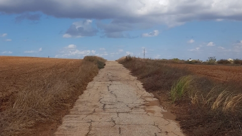 חורף במעש צילום תמר שפילמן.jpg
