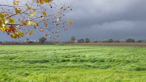 צילום מלכה שיין.jpg