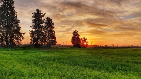 צילום ליאן לוי.jpg