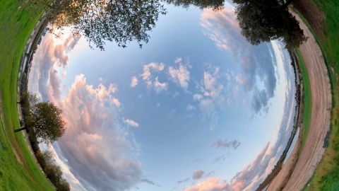 צילום גלי גליקמן2.jpg