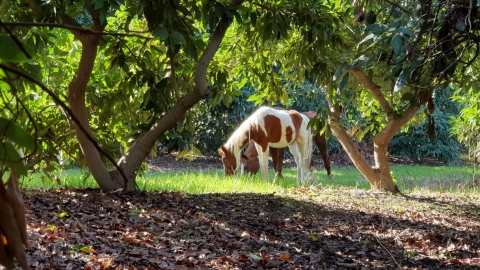 קרן שמש מאוחרת צילום רחלי וורטמן.jpg