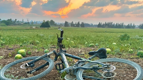 צילום שולי זייק.jpg