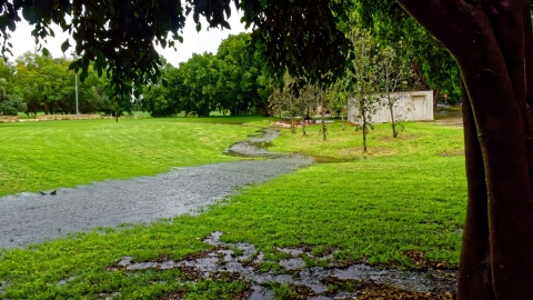 מתחם שבועות אחרי המבול צילום שלמה עמיר.jpg