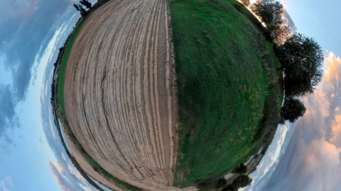 צילום גלי גליקמן.jpg