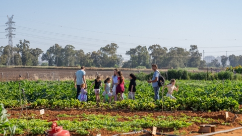 פעילות בחווה החקלאית ביריד היזמות והחדשנות של דרום השרון.jpg