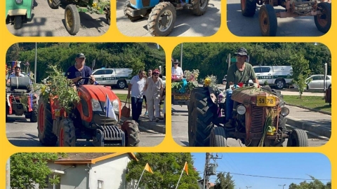 אוסף תמונות מחגיגות שבועות ביישובי המועצה (2).jpg