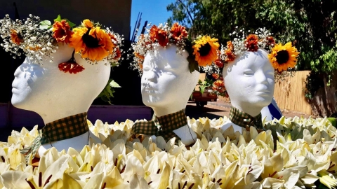 זרים פרחוניים.jpg