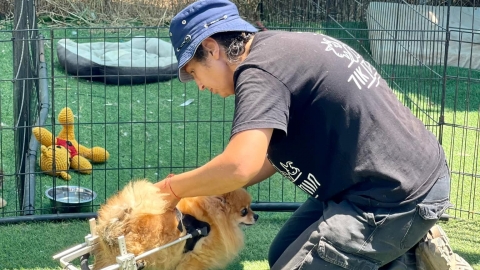 בעלי חיים בחוות קרן אור.jpg