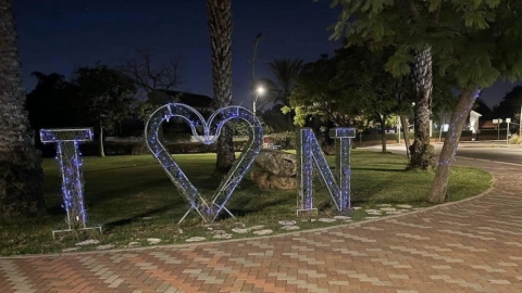 צובעים את הלילה בסגול נירית.jpg