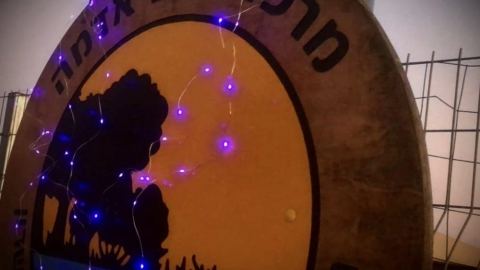 צובעים את הלילה בסגול החווה החקלאית.jpg