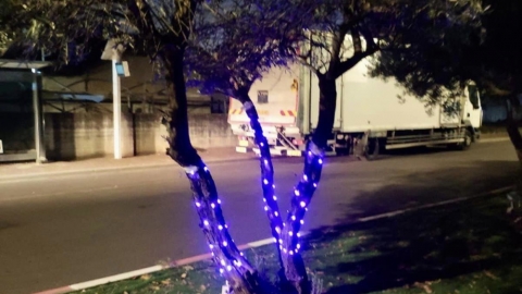 צובעים את הלילה בסגול במושב ירחיב.jpg