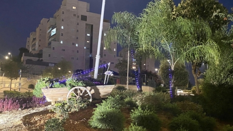 צובעים את הלילה בסגול צור יצחק.jpg