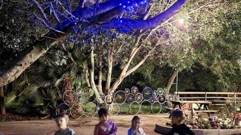 צובעים את הלילה בסגול בגינה הקהילתית של קיבוץ אייל.jpg