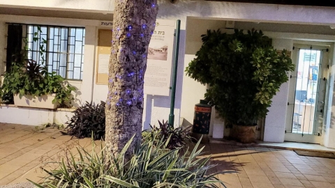 צובעים את הלילה בסגול רמות השבים.jpg